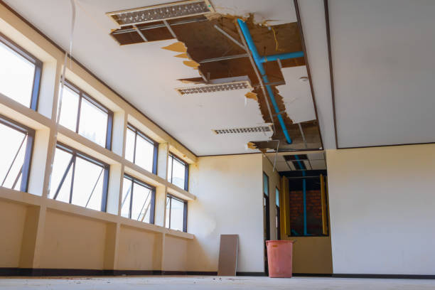 Best Emergency water damage restoration  in Hopkins, MN