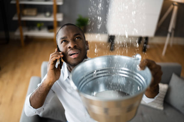 Best Residential water damage restoration  in Hopkins, MN