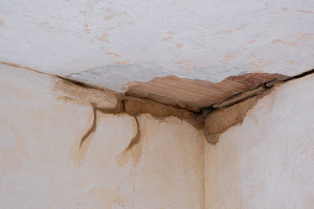 Best 24-hour water damage restoration  in Hopkins, MN