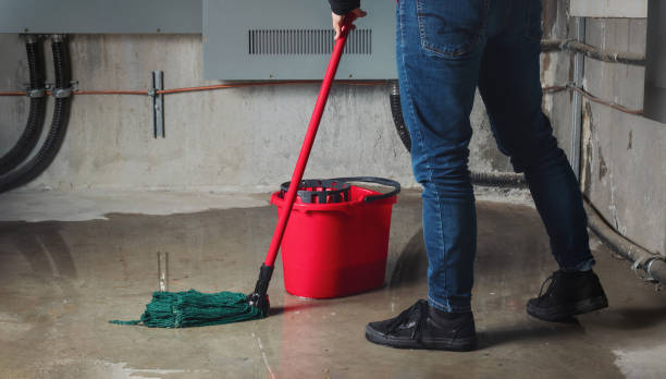 Best Flood restoration services  in Hopkins, MN