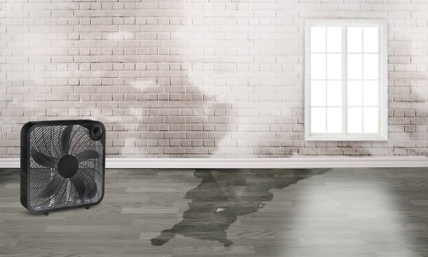 Best Commercial water damage restoration  in Hopkins, MN