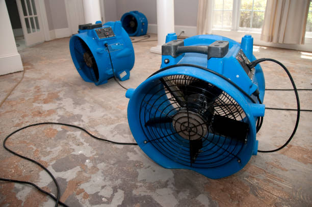 Carpet water damage restoration in Hopkins, MN