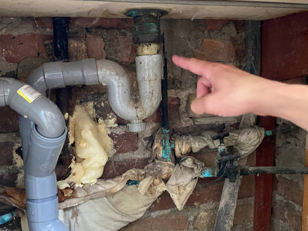 Best Professional water damage repair  in Hopkins, MN
