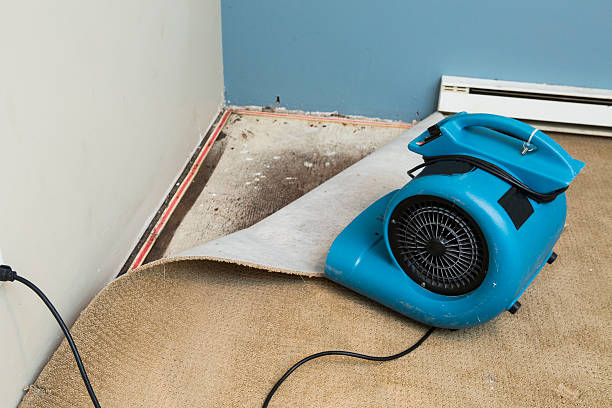 Best Water damage restoration near me  in Hopkins, MN
